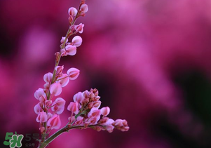 2017年四月份天氣如何？2017年四月份天氣預報