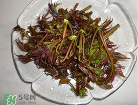 涼拌香椿要過水嗎？香椿涼拌前需要用開水焯一下嗎？