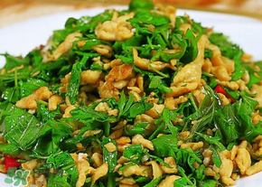 香椿可以生吃嗎？香椿能生吃嗎？