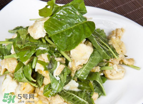 香椿可以生吃嗎？香椿能生吃嗎？