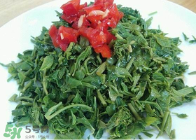 香椿生吃有毒嗎？香椿生吃好還是熟吃好？