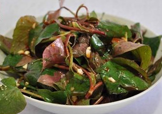 魚腥草根和葉哪個好？魚腥草根好還是葉子好