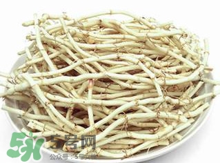 新鮮魚(yú)腥草怎么煮水？魚(yú)腥草怎么煮水喝