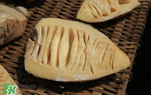 竹筍什么時候有？竹筍什么時候最好吃？