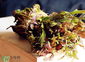 香椿很貴嗎？香椿為什么那么貴？