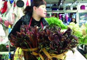 香椿很貴嗎？香椿為什么那么貴？