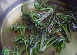 香椿為什么要用開水燙？香椿用開水燙多久？