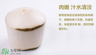 孕婦能不能喝椰青？椰青孕婦能喝嗎？