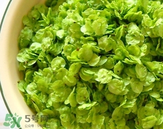 榆錢(qián)怎么清洗?榆錢(qián)怎么洗干凈? 榆錢(qián)怎么清洗?榆錢(qián)怎么洗干凈?