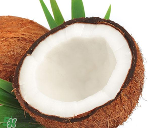 椰青和椰皇的區(qū)別 椰青和椰皇哪個好？