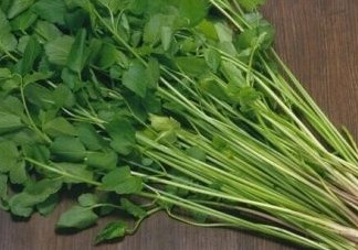 水芹菜是什么菜？水芹菜是野芹菜嗎