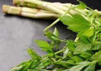 水芹菜的葉子可以吃嗎？水芹菜葉子能吃嗎