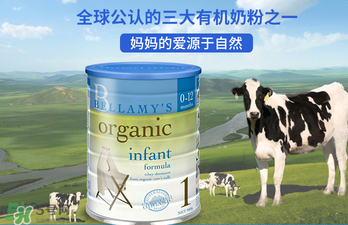 貝拉米奶粉報(bào)價(jià)多少？貝拉米奶粉價(jià)格多少？