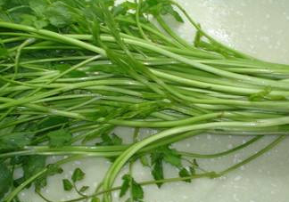 水芹菜有毒嗎？水芹菜有沒有毒