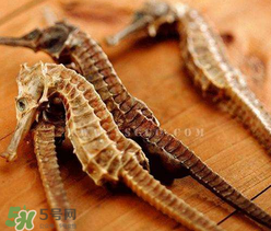 孕婦能吃海馬嗎？孕婦能不能吃海馬？