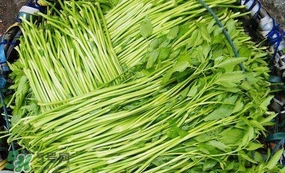 水芹菜怎么吃？水芹菜的做法