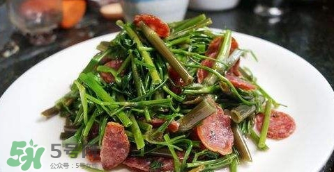 水芹菜孕婦能吃嗎？懷孕的人可以吃水芹菜嗎