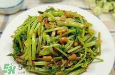 吃水芹菜有什么好處？吃水芹菜有哪些好處