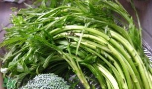 藜蒿葉子能吃嗎？藜蒿葉子可以吃嗎