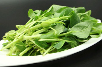 雞毛菜是什么菜？雞毛菜是小白菜嗎