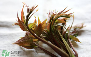 香椿怎么洗？香椿芽怎么洗干凈？