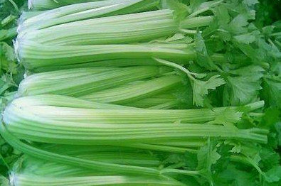 水芹菜和芹菜一樣嗎？水芹菜和芹菜的區(qū)別