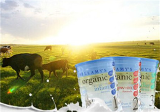 貝拉米奶粉甜嗎？貝拉米奶粉甜不甜？