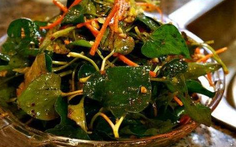 魚腥草根和葉哪個好？魚腥草根好還是葉子好