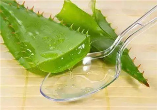 孕婦能喝蘆薈汁嗎？孕婦可以喝蘆薈汁嗎？