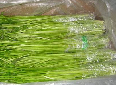 水芹菜如何保鮮？水芹菜怎么保鮮