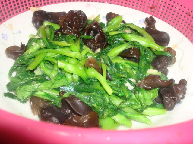 雞毛菜是什么菜？雞毛菜是小白菜嗎