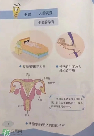孩子瀏覽成人網(wǎng)站怎么辦？小學(xué)性教育有沒有必要？