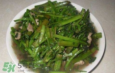 水芹菜怎么吃？水芹菜的做法