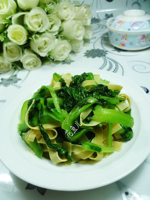 雞毛菜是什么菜？雞毛菜是小白菜嗎