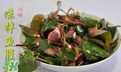 吃魚腥草可以喝酒嗎？吃魚腥草能喝酒嗎