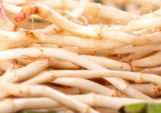 新鮮魚腥草怎么煮水？魚腥草怎么煮水喝