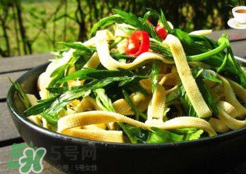 水芹菜的葉子可以吃嗎？水芹菜葉子能吃嗎