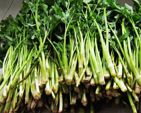 水芹菜是什么菜？水芹菜是野芹菜嗎