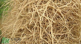 魚腥草根怎么吃？魚腥草根怎么做好吃