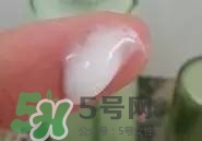 一葉子和百雀羚哪個好？一葉子和百雀羚面膜對比