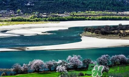 四月份去哪里旅游比較好？四月份最適合旅游的地方