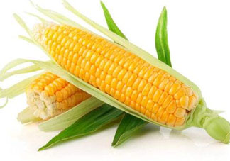 四月份的玉米能吃嗎？四月份有玉米嗎？