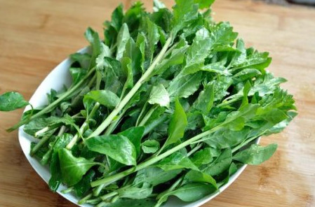 枸杞頭是什么樣子？枸杞頭是什么菜