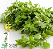 枸杞頭怎么吃？枸杞頭如何吃