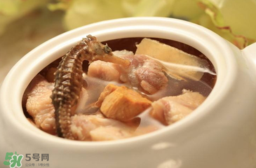 孕婦可以吃海馬煲湯嗎？海馬湯孕婦可以喝嗎？