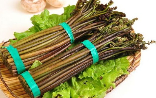 蕨菜到底能不能吃？山上的蕨菜能不能吃