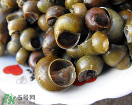 田螺可以凈化水質(zhì)嗎？田螺能凈化水質(zhì)嗎？