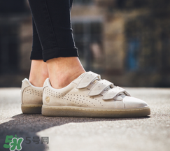 puma careaux新款什么時候發(fā)售？彪馬玫瑰聯(lián)名2017什么時候上市？