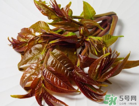 痛風(fēng)能吃香椿嗎？痛風(fēng)能吃香椿煎蛋嗎？