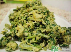 香椿能和胡蘿卜一起吃嗎？香椿和胡蘿卜一起吃好嗎？